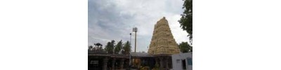 270. திருப்பருப்பதம் (ஸ்ரீசைலம்)